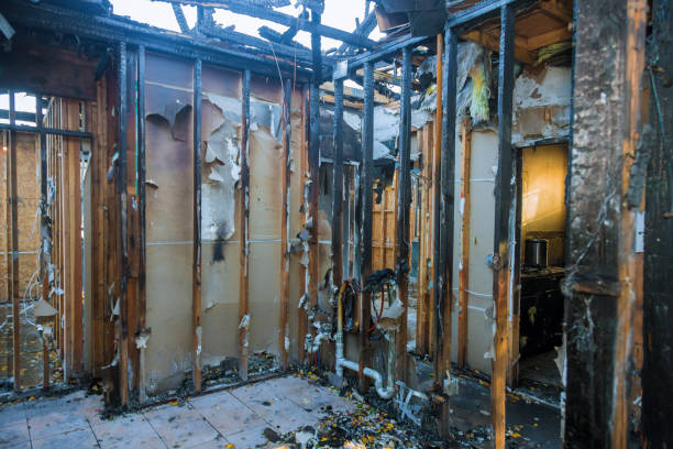 Professional Structural Rebuild technician working in Nicholasville, KY